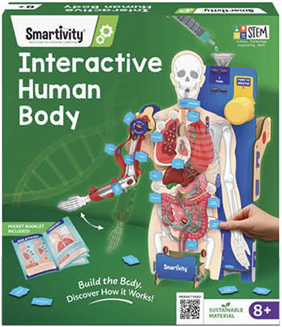 Smartivity Interactive Human Body (8+ Years)